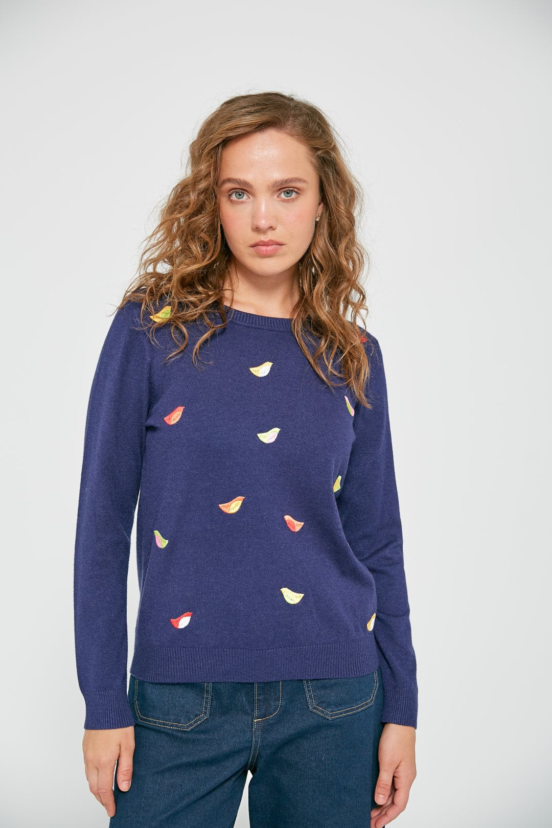 15016822 Pull imprimé oiseaux - Marine